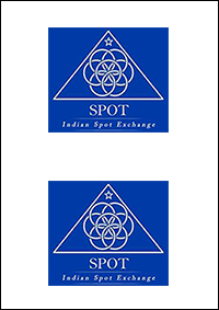 Annual Report
